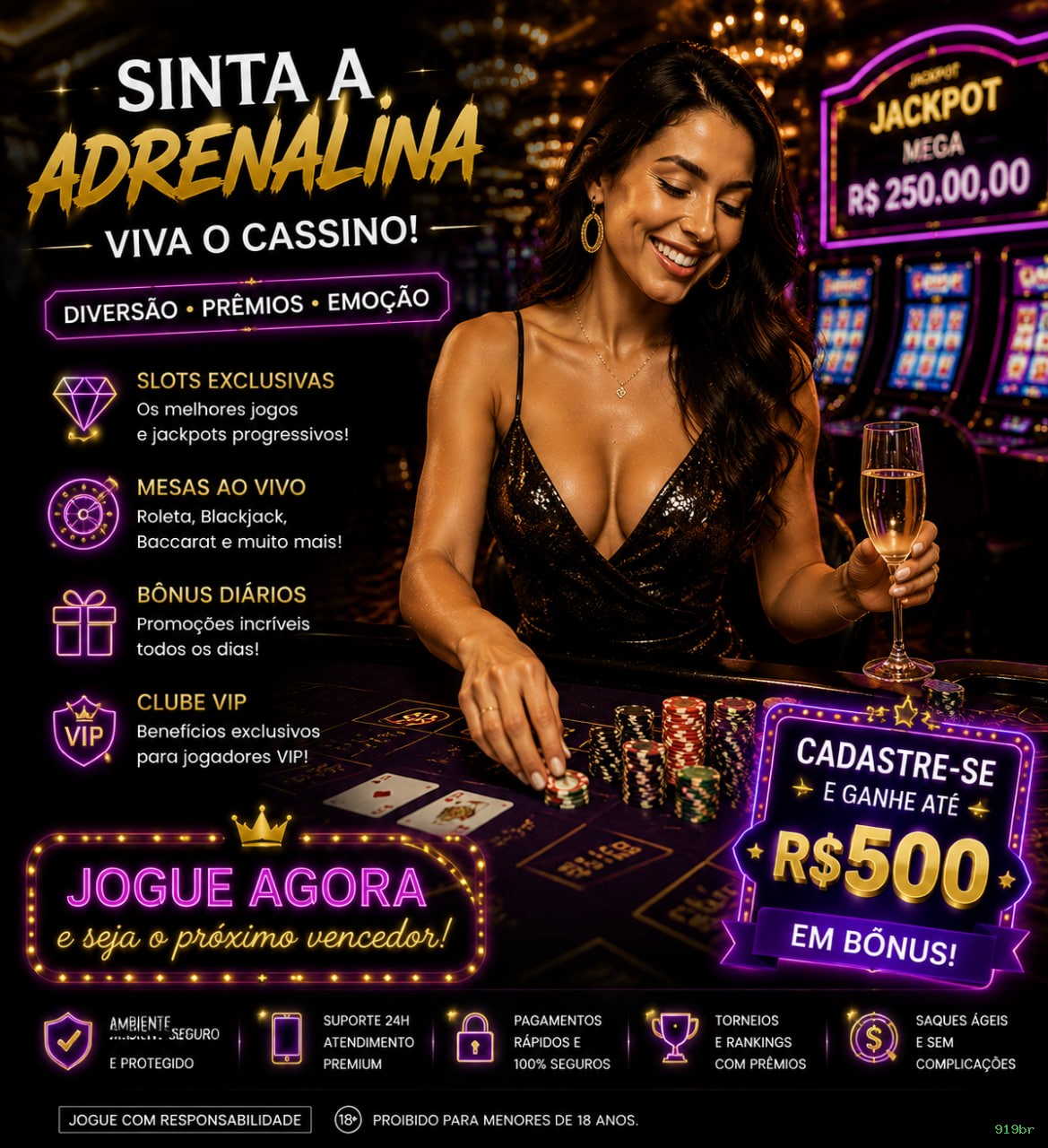 Formulário registro 919br